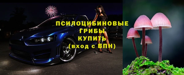 ГАЛЛЮЦИНОГЕННЫЕ ГРИБЫ Алексин