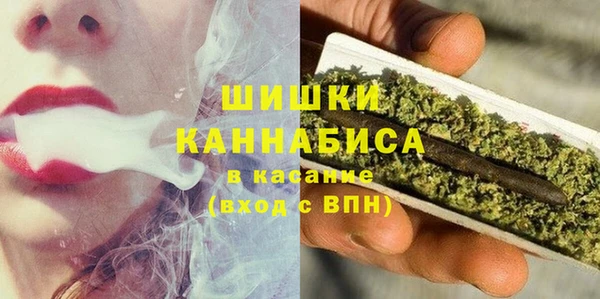 ГАЛЛЮЦИНОГЕННЫЕ ГРИБЫ Алексин