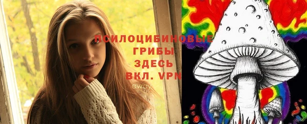 ГАЛЛЮЦИНОГЕННЫЕ ГРИБЫ Алексин