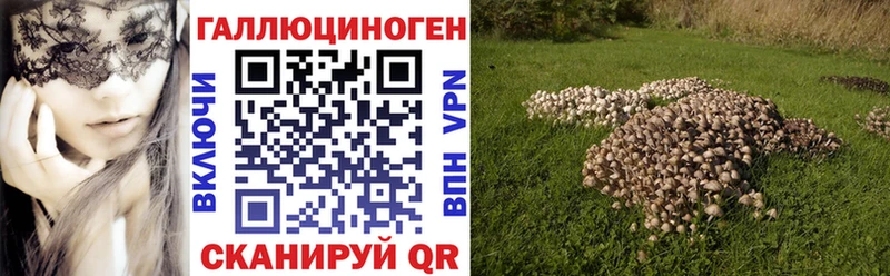 Купить  Касли  Галлюциногенные грибы Psilocybine cubensis 
