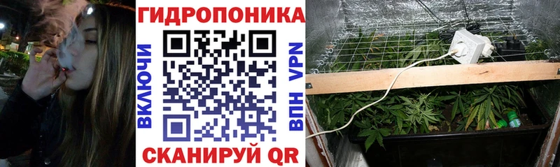 Купить закладки  Касли  Канабис THC 21% 